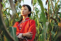 红高粱电视剧全集在线观看,激情燃烧的岁月，热血沸腾的传奇