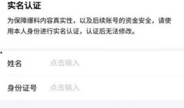 爆料视频如何赚钱的软件,通过爆料视频赚钱的软件操作攻略